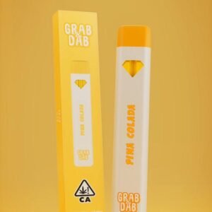 Grab & Dab Pina Colada 2G Disposable